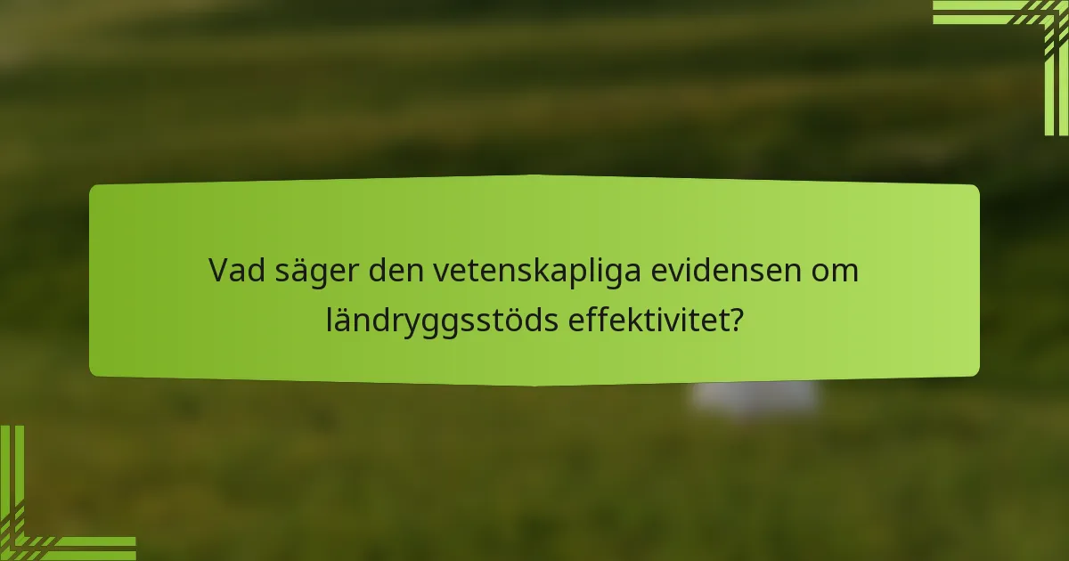 Vad säger den vetenskapliga evidensen om ländryggsstöds effektivitet?